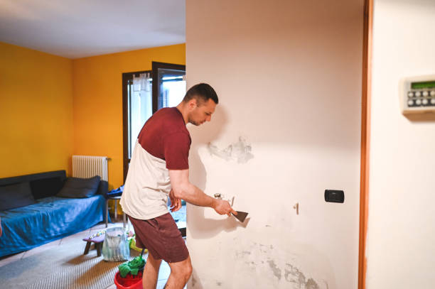 Best Emergency Mold Removal  in Weissport East, PA